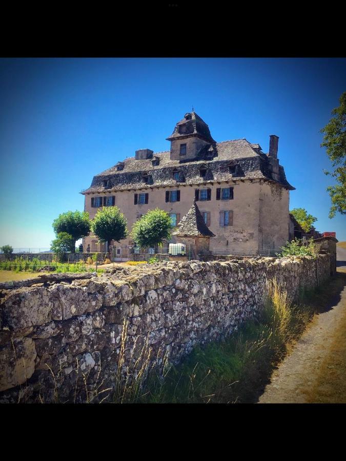 Chateau De Cours Senezergues Экстерьер фото